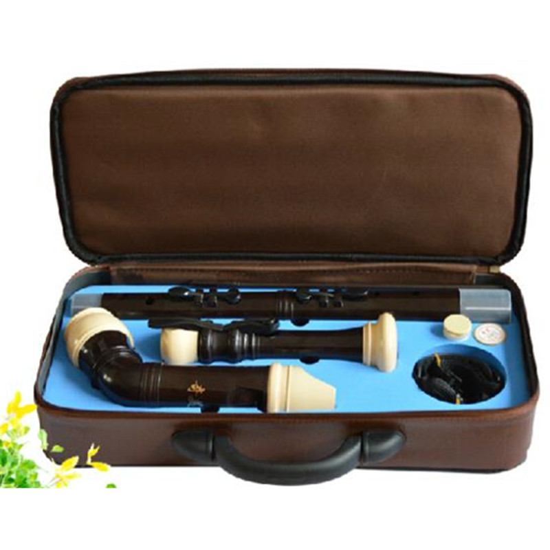 Musical Instrument Recorder - Clarinete profissional de resina para baixo