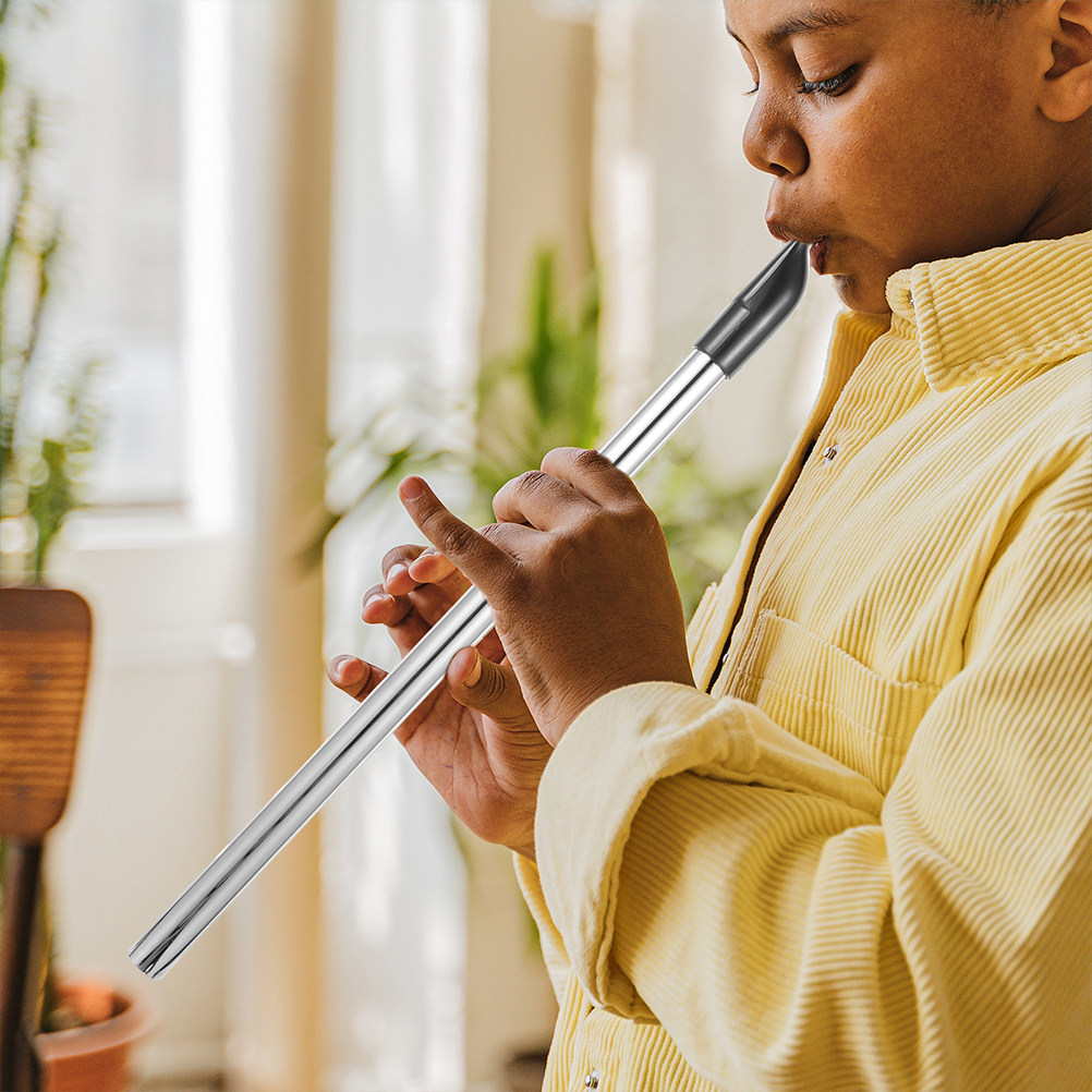 Musical Instrument Recorder - Flauta Doce Soprano em Ré de