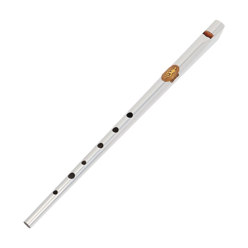 Tin Whistle Flute - D/c chave estanho apito estudante iniciante
