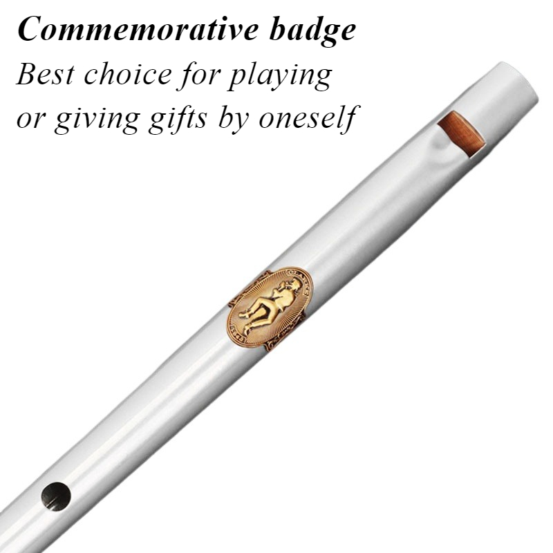 D/c chave estanho apito estuda - Tin Whistle Flute avaliação e preço